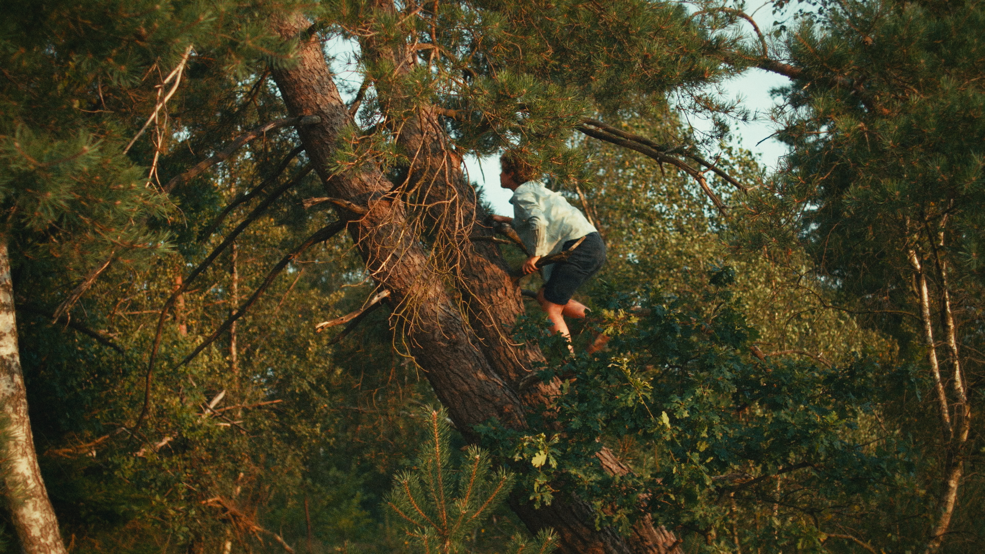 Stichting Rechten van de Natuur bij Lot of Happiness