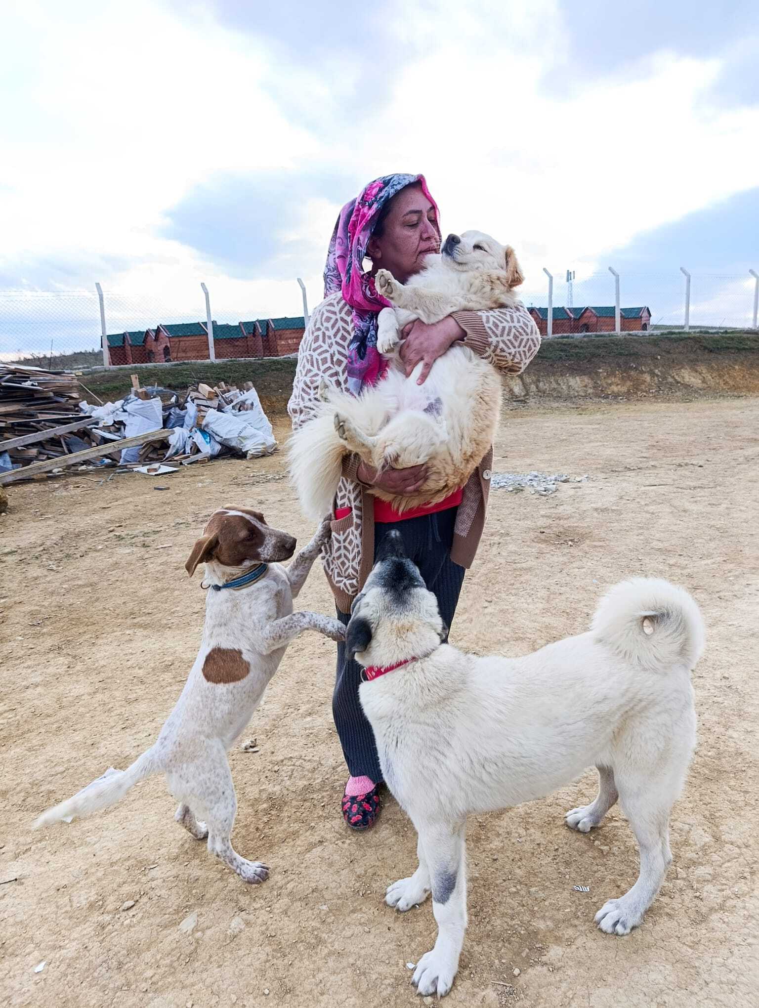 Stichting Zwerfdieren Turkijë bij Lot of Happiness
