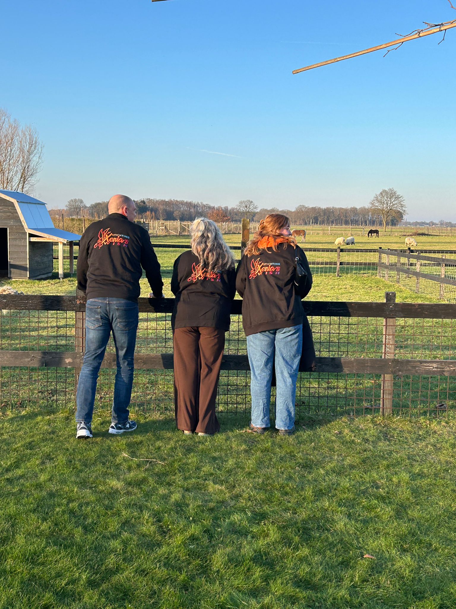 Xenias Wish bij Lot of Happiness